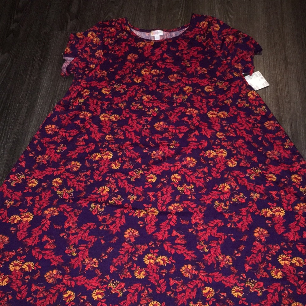 LuLaRoe carly